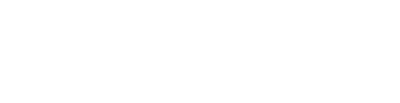 GovStrive